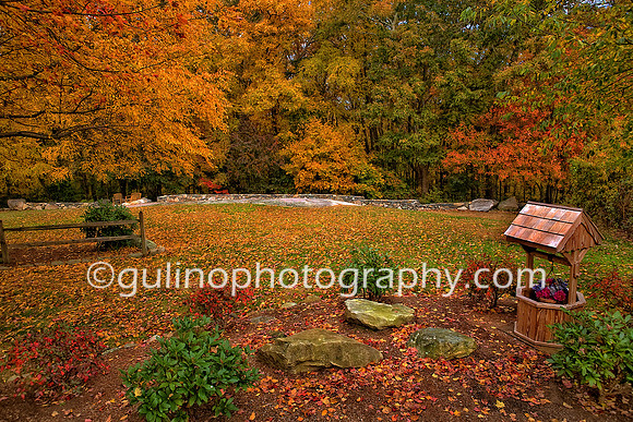 006a_HDR Portrait Park Autum 2010