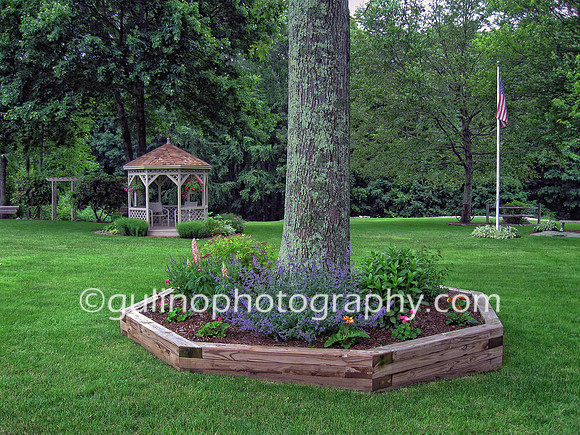 008a_HDR Portrait Park 2010