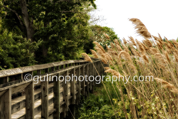 04a_HDR Poquonnock River Boardwalk Groton 2015
