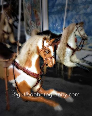 001a_HDR Horses 2008