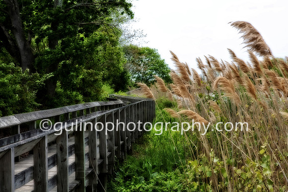 03a_Poquonnock River Boardwalk Groton HDR 2015